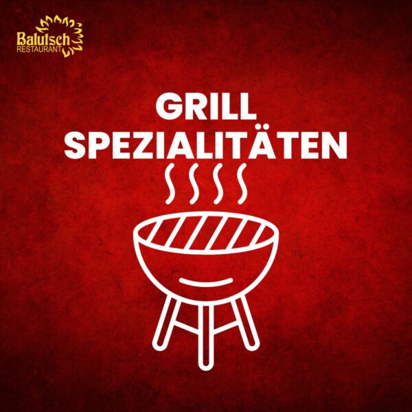 Hähnchenspieß mit Salat, Joghurt, Reis oder Pommes